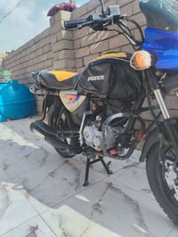 بوكسر • فحل • موديل ٢١