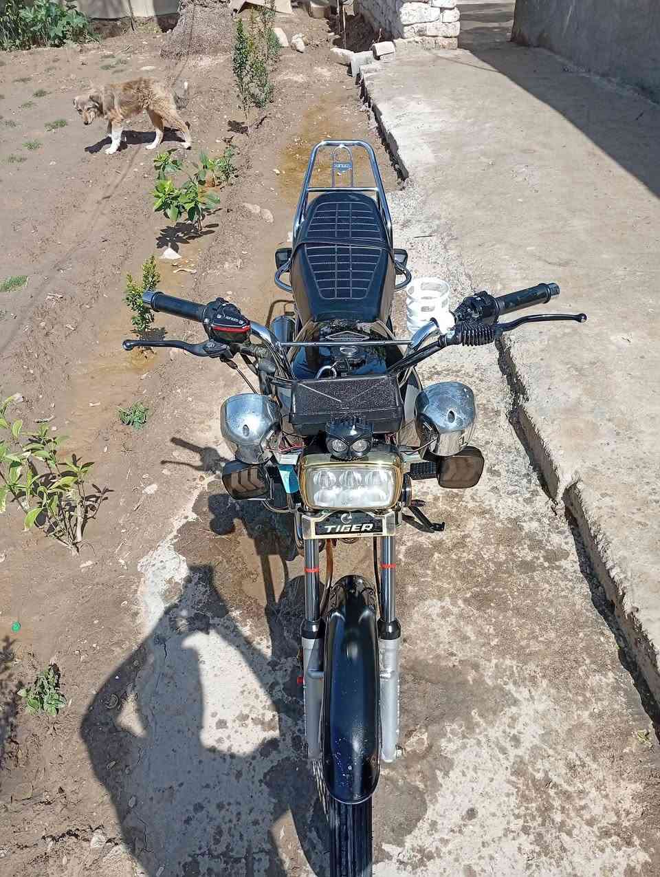 سلام عليكم  شباب دراجه تايكر موديل 24
اوراق  مكان بابل محاويل  سعر 550 وبيه مجال هاذ رقم ***********
