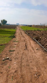 نص دونم • حي لبتول • خدمات مي كهرباء