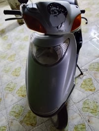 ذبانه ماليزي • نضيف • كوت شيخ سعد