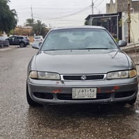 فاصوليا • ١٩٩١ • سنوية ٢٠٢٧