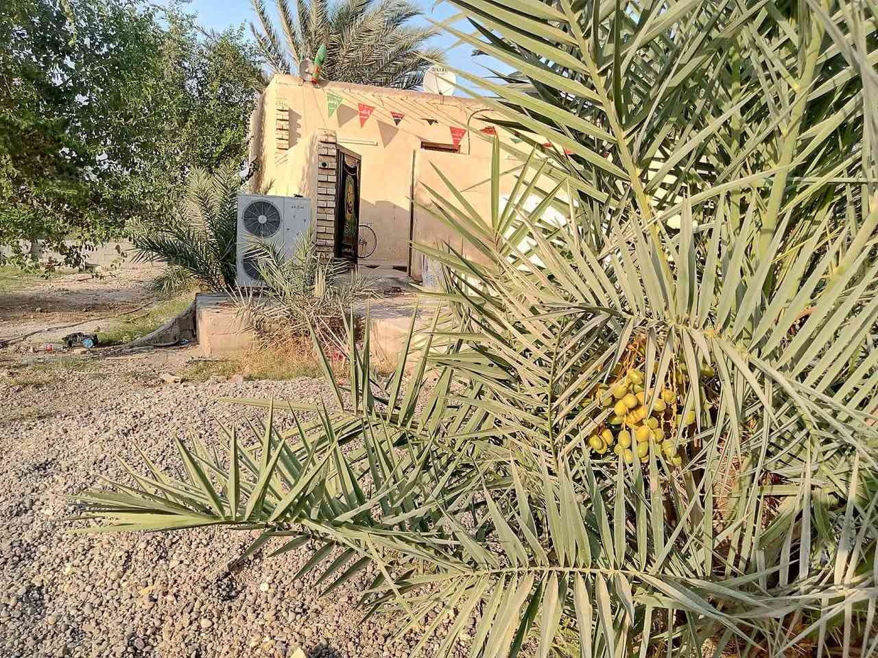 السلام عليكم بيت بناء جديد كوله طابوك يحتوي على3غرف نظام الغرف سويتات المساحة الكلية 600 متر مربعة واجية 15متر والنزال 40متر بي فقط الاستقبال 8متر ماكامل والاصاله 10متر والباقي البيت من غرف ومطبخ كاملات قرار 117 وبي معامله مال تمليك الزراعي في بلدية بسمي ابيع وقع حال وبسعر جدا مناسب للظروفي الخاصه المكان شهداء البياع نهاية شارع العام من جهت اليمن اول فرع عل جهت اليسار الاتصال ***********
