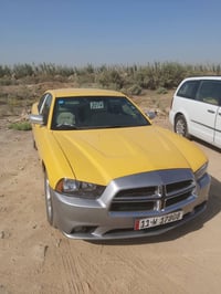 جاجر ١٤ • ٢٠١٤ • واسط حفرية