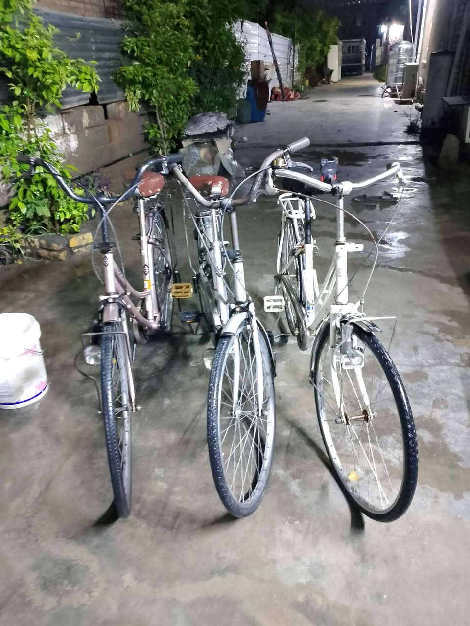 متاح بايسكلات بناتي للبيع سعر واحد 110


**إذا كنت صاحب هذا الإعلان وتريد حذفه لأي سبب، رجاءا أرسل رسالة إلى الدعم الفني**