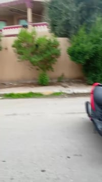 ماكس عدلة • نشطة • معدل