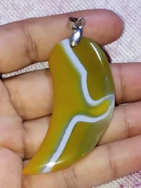 دلاية كبيرة • عقيق جزع • شكل قرن