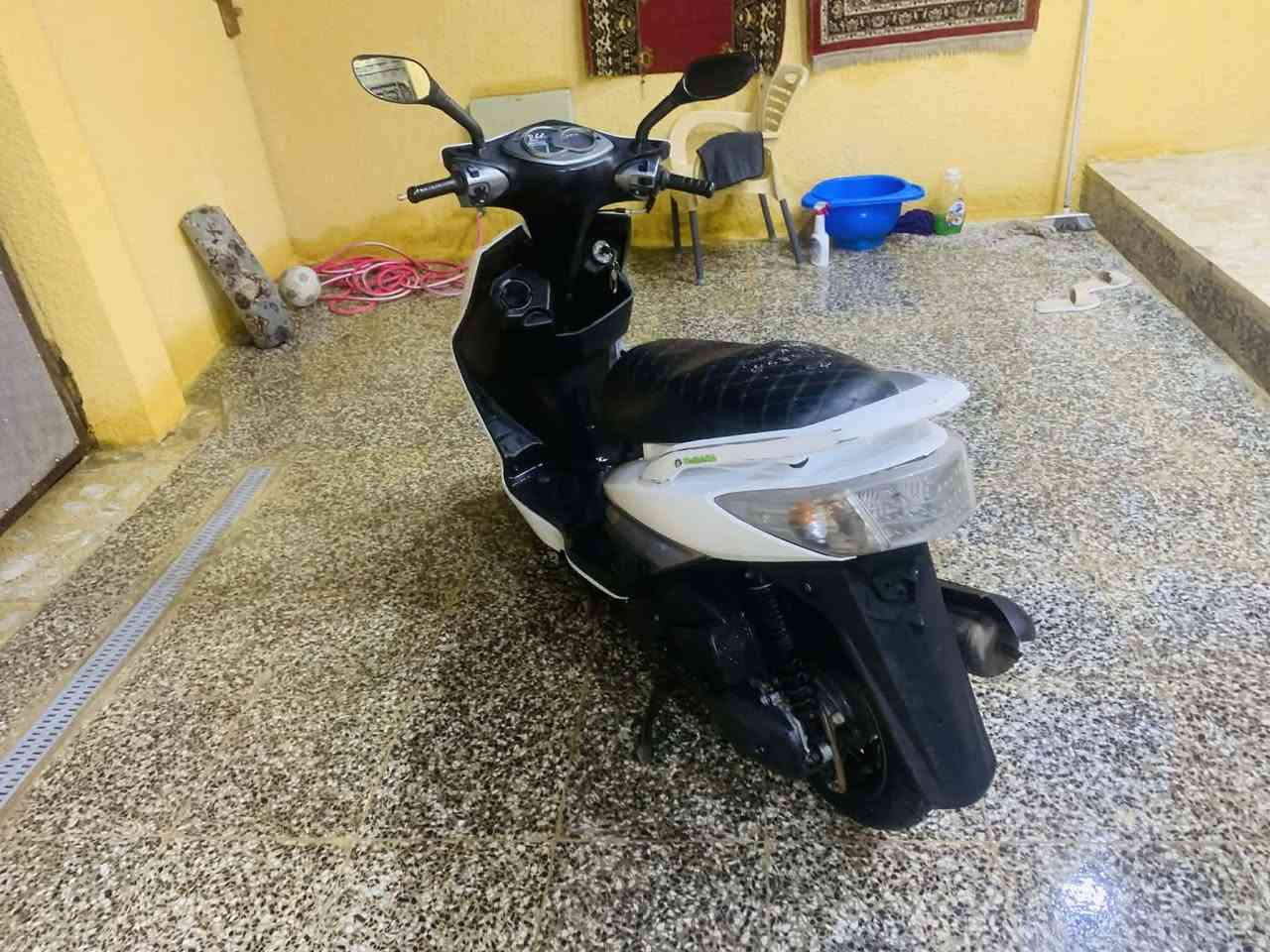 سلام عليكم شباب سكنس فحل نازله من الرمبه صاله 3 اشهر بيه بس الدشبول طافي وهاهيه دراجه تخبل نكر شوكت ما جان أو مراوس دراجه ايرانيه نضيفه السعر 750 وبيه مجال تواصل *********** واتساب متوفر وبيك خير وتدلل
