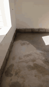 السلام عليكم ورحمه الله وبركاته اي واحد عنده بيت تنظيف اي شيء يتواصل معانا ولا يحتار ان شاء الله راح نكون متواجدين عنده صلاح الدين تكريت القادسيه اللي يريد تنظيف بيوت تواصل معانا على هذا الرقم وان شاء الله ما راح نقصر مع الجميع‏‪***********‬‏
