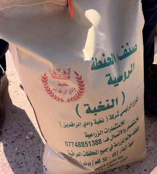 ‎تتوفر بذور صنف الحنطة المسجلة والمعتمدة في وزارة الزراعة ( النخبة) والتي يمكن للمزارع تسويقها للسايلوات العراقية كافة.  
‎صنف (النخبة) اثبت جدارة بعد  زراعته من قبل الكثير من الفلاحين في عديد من المحافظات  العراقية واكدوا على ان صنف (النخبة)  يمتاز بعدة مواصفات: 
‎١. صنف كثير التفرعات حيث تصل إلى ٣٠ فرع  و سنابلها الرئيسية والتي بالتفرعات كلها بنفس الارتفاع بحيث  كل السنابل تجي بالحاصودة وماتصير عدكم خسائر . 
‎٢. تقاوم البرد واذا تنثلج ماتحترق اوراقها وتبقى خضرة ونشطه لانه أصلها روسية. 
‎٣. افضل وقت لزراعتها منتصف  شهر 12 حتى منتصف شهر الواحد حتى ميصير ادغال مع الحنطة وبالتالي ماتكافحون .وايضاً يقل تعرضها للإصابة بالأمراض.
‎- كان سعر البيع  من شركة نخبة وادي الرافدين الشركة الحصرية المسوقة للصنف   المغلف امهات سعر الطن  2.5 مليون (مليونين ونص).  على طول الموسم .
‎سارع عزيزي المزارع إلى حجز الكمية من مخزن الصويرة لشركة النخبة مغلفات النواة او الامهات  الكمية المتوفرة فقط 10 طن انتاج 2025. سعر الطن 1500  مليون (مليون ونص) …شراء الكمية كلها تحصل على تخفيض .
‎كما توجد كمية محدودة في  مخزن الشركة في محافظة ديالى منطقة خان بني سعد انتاج 2024 سعر الطن 1250 (مليون وربع ) عند شراء الكمية كلها تحصل على تخفيض ..

للحجز والاستفسار على الرقم التالي
***********
