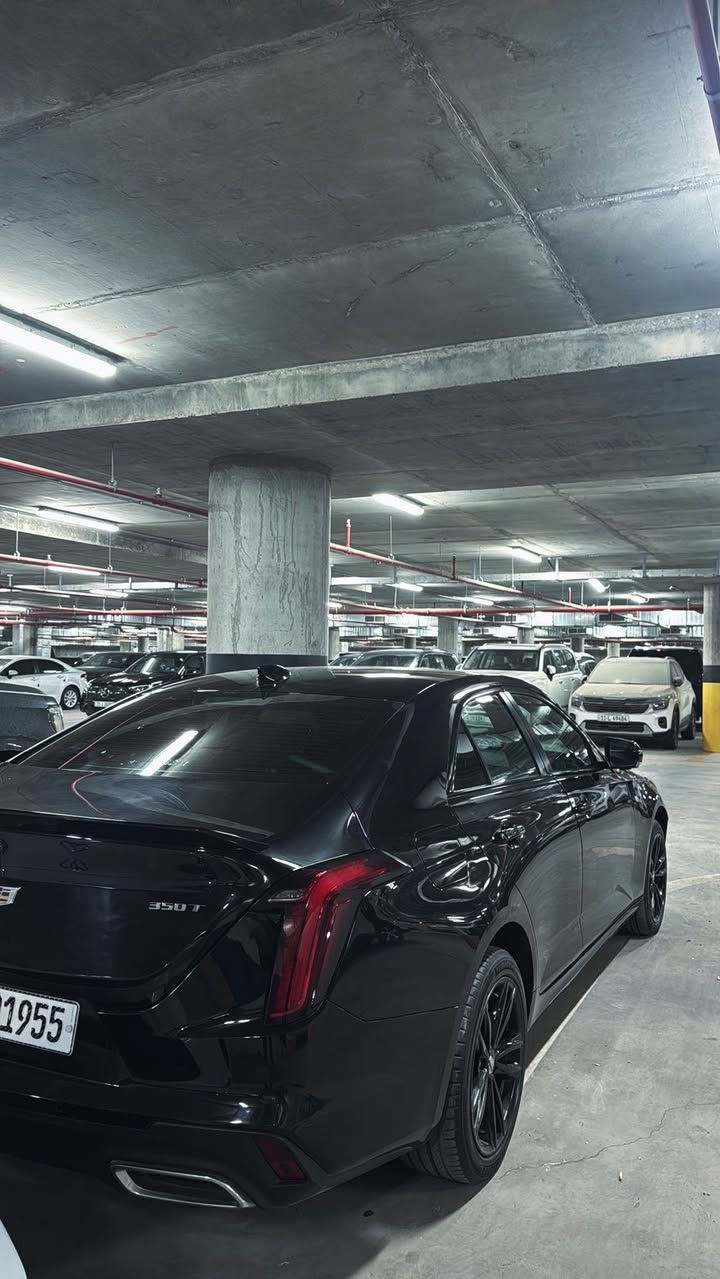 سلام عليكم اخوان
كاديلاك سيتي فور 2023 فول موصفات 

بيهه قطعتين وبيهه حافه الشاصي تعديل 

موصفاته 

1- فتحه سلايد 

2- كامرات ثنين 

3- حساسات امامي خلفي 

4-رادار امامي

4-اوتو هولد 

5-حساس زدحام اطفاء 

6- تدفئه كشنات 

7-كنشات كهرباء 

8 -تدفئه ستيرن + تبريد

9 -تحكمات شاشه لمس + كار بلي + تحديد مواقع + خرائط كله مبرمج وشغال

10-هاند بريك كهرباء دكمه 

11- تشغيل عن بعد + اطفاء

12- نضام ترحيب 

13- جنطه كهرباء 

14- مثبت سرعه + مثبت سير 

15-اربع وضعيات قياده 

وبعد بيهه شغلات هواي 

سعر تفضل خاص او اتصل على الرقم *********** رقم بغداد وسياره مكانهه بغداد
