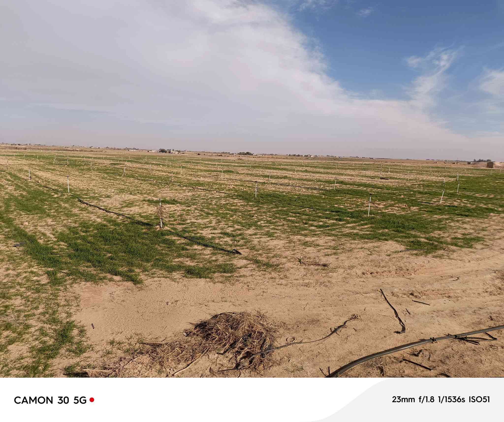 مزرعه للبيع مساحه 50دونم يوجد 600 شيش حديد وكهرباء واصله ومحرك السعر خاص هاتف***********8
***********
