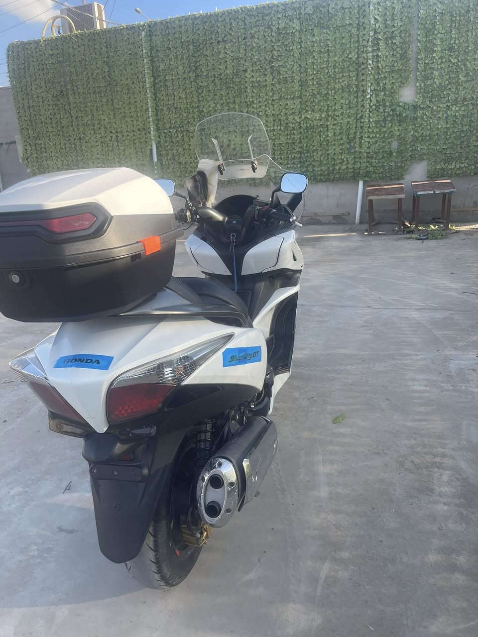 سلام عليكم ورحمة الله وبركاته
سلفر ونج جي تي الحديث (600)
دراجه فول موصفات  اوفر مود 
أي بي إس تتفئه يدات  
أو سويج نضام سكورتي 
جامه قطعتين + جنطه 
منضومه زنون قويه 100/100
و تخم أشاري  زنون 
مكينه شرط مكفوله بدون فتح أي برغي كهربائيات كله شغاله 
نضام بريكات مسويله ادامه كامله 
ول كفر شوفت عينك 
و اوراقه كامله  
+ السعر 16 ونص وبيه مجال 
العنوان بغداد الحسينية مال الراشديه
الهاتف ***********
