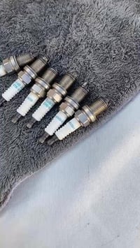 لبيع تخم كامل07811129590