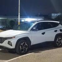 ٢٠٢٣ • ضرر خلفي • لا ايرباك