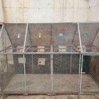 قفص حديد • ضهره خشب • ٢م×١٫٢٥م×١٦٠