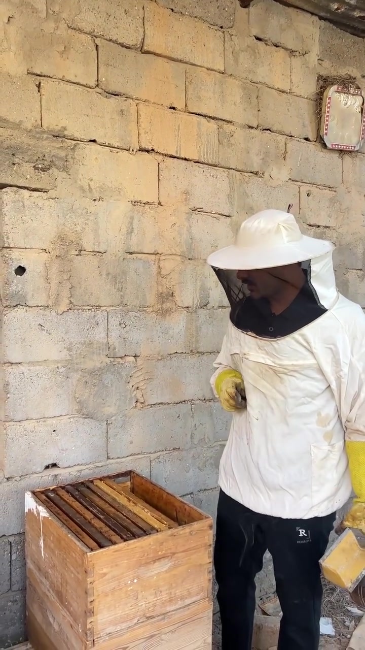 🍯🐝✅


**إذا كنت صاحب هذا الإعلان وتريد حذفه لأي سبب، رجاءا أرسل رسالة إلى الدعم الفني**