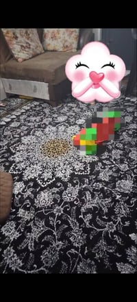 سجاد • اثنين • نادر الاستخدام
