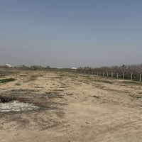 أرض زراعية • ٢ دونم • مرقد السيد محمد