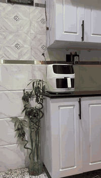 اتصل على هذا الرقم ***********
