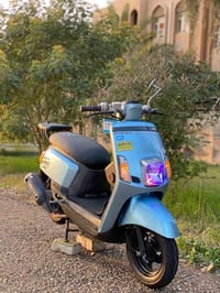 بوليس • مسطرة • مسيب