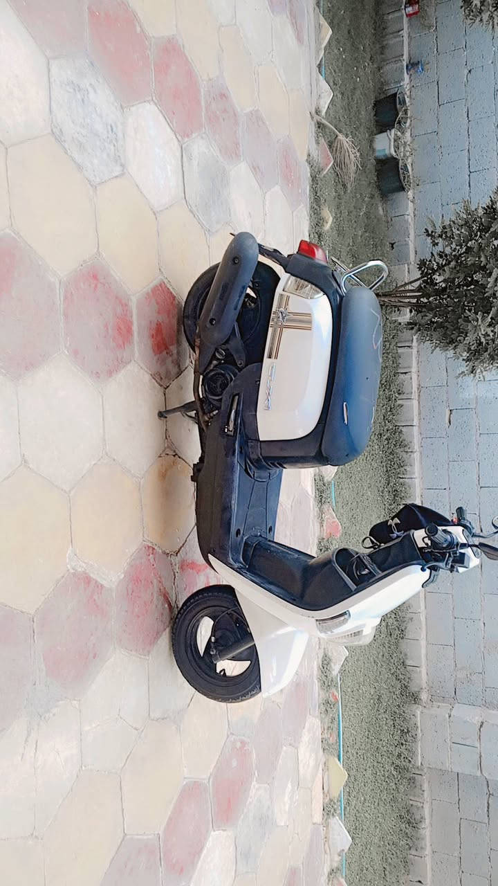 دراجات للبيع


**إذا كنت صاحب هذا الإعلان وتريد حذفه لأي سبب، رجاءا أرسل رسالة إلى الدعم الفني**