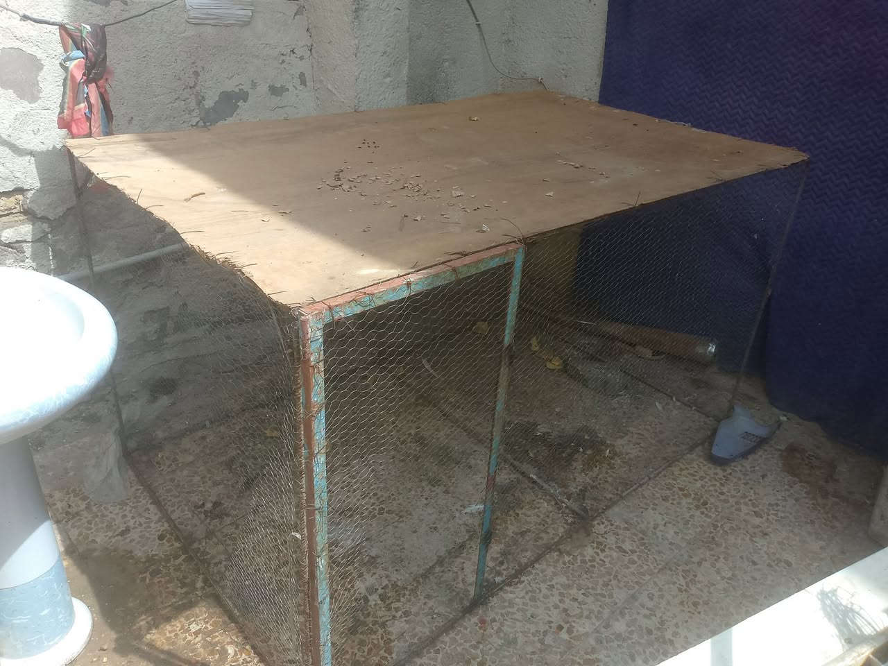 قفص للبيع طول 2.20ارتفاع 1.5 عرض 1.4
مرتب وطلاكه تنفتح وتنسد ***********
