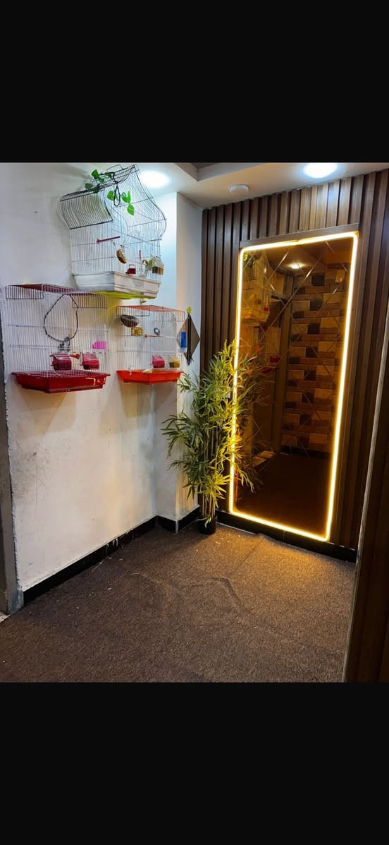 السلام عليكم 
➖ دار نظيف جدا  للبيع في شارع فلسطين ا :-  
▪️المساحة : 150 م الواجهه : 5 م    النزال : 30م    
▪️محله : 503 موقع ممتاز 
▪️يتكون : كراج وصاله وحولي ومطبخ حار وبارد  وخدمات وغرفه نوم والطابق الثاني غرفتين نوم وخدمات وسطح 
                           للاستفسار : 
                           ***********
                          *********** 
عنوان المكتب //  تقاطع النخله قرب مطعم قدوري مكتب الرحمن ّ
