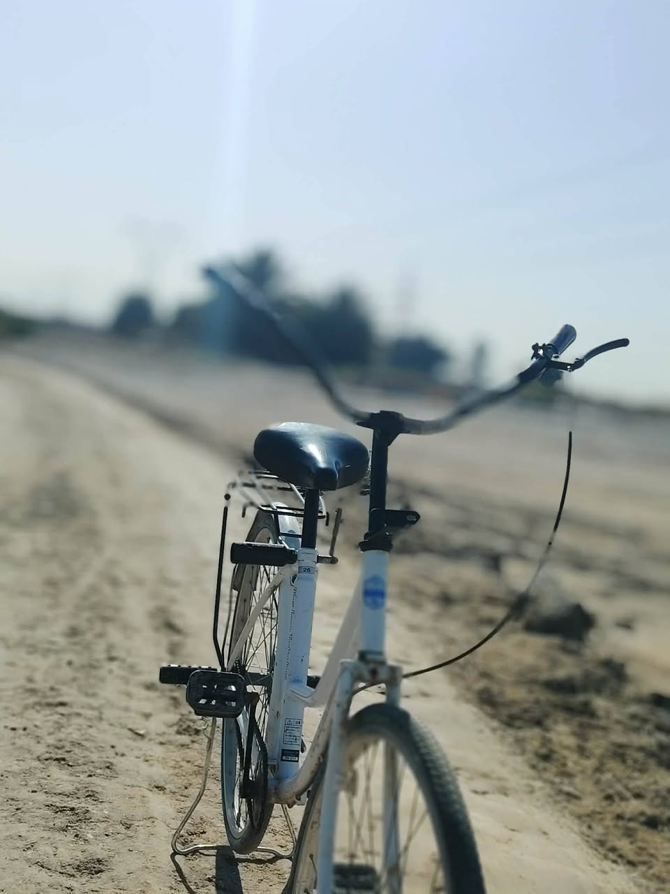 عمي السلام عليكم شباب باسكل للبيع ليرده بجي خاص السعر حجم 26الباسكل نضيف


**إذا كنت صاحب هذا الإعلان وتريد حذفه لأي سبب، رجاءا أرسل رسالة إلى الدعم الفني**