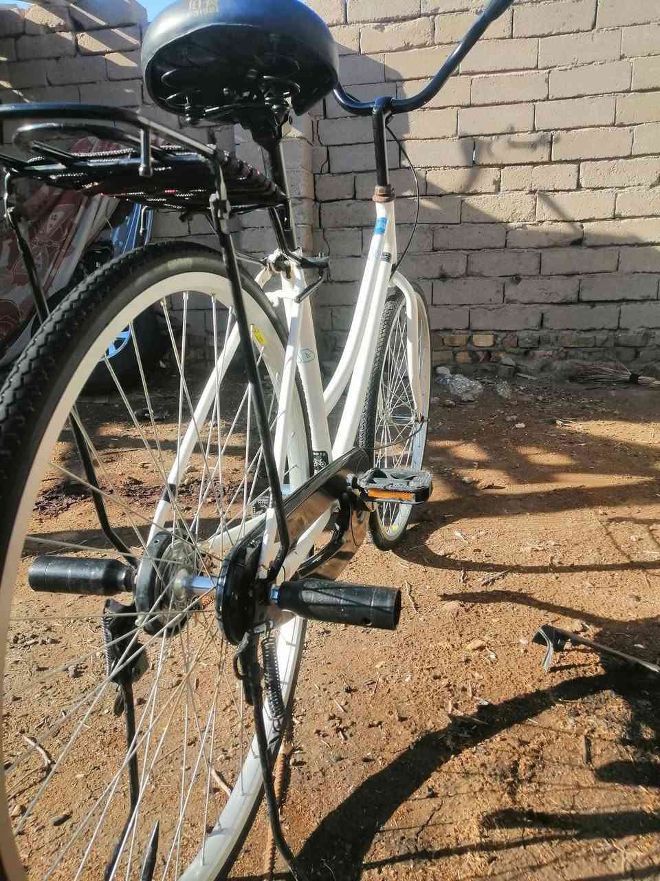 عمب سلام عليكم عمي باسكل البيع وعلي باسكل ماعوزه برقي كله كامل من طول الطول وشرط كشماه عوزه تعمير 2025 ويله نظاف كلش حجم 26 والباسكل مامقسول راده سعر 80وبيه مجال وشراي يجي خاص 🫡❤️


**إذا كنت صاحب هذا الإعلان وتريد حذفه لأي سبب، رجاءا أرسل رسالة إلى الدعم الفني**