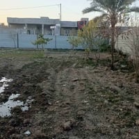 الرمادي الصوفية البوغانم • ٩٠٠م • طابو زراعي