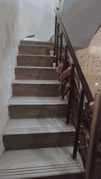 بيت زراعي المساحة ٦٠متر العنوان خلف شهداء أبو دشير الهاتف ***********
