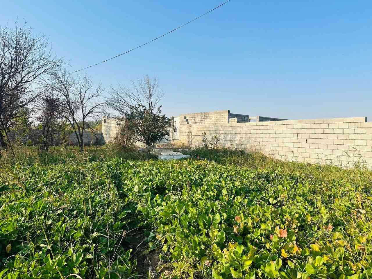 السلام عليكم 
قطعه ارض +هيكل للبيع (عل طريق الصخيل )
المساحه :2450 م
للاراغبين بل شراء الاتصال عل الارقام التاليه :
او زياره مكتب الصالح للعقار
***********
‭0785 737 1712‬
***********
