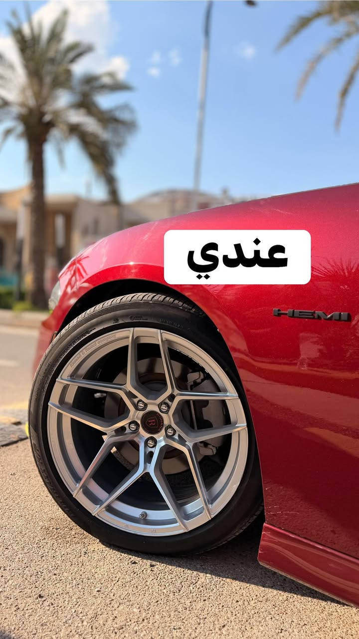 مراوس فقط فقط وماعندي فرق الي يعجبة يراسلني مكاني بغداد


**إذا كنت صاحب هذا الإعلان وتريد حذفه لأي سبب، رجاءا أرسل رسالة إلى الدعم الفني**