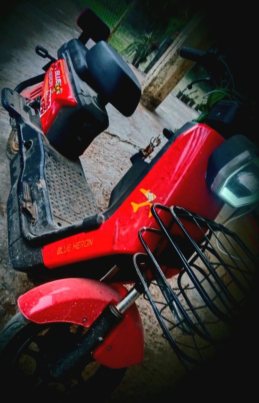 يالله سلام عليكم دراجة شحن موديل 25 شاير هورن باتريات جدد دراجة نضيفه اخت جديد مكاني بغداد حي البتول السعر 250 الاتصال *********** مكلف بل النشر
