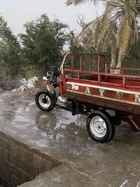 ستوته • مديل 14 • ناصريه سوك الشيوخ