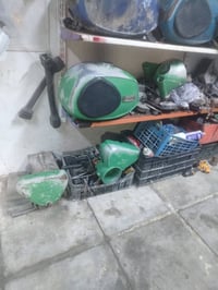 كشر أخضر • مصبّغ • لجنايه ٨١