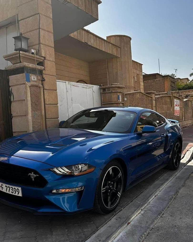 موستنك gt cs (California special) 2021
ماشية ١٥ الف ميل 
ضربتها جاملغ الساق فقط قطعه وحده ما واصله لا بنيد ولا باب
ال كاليفورنيا سبشل معروفة اعلى المواصفات
محرك ٥.٠ ٨ سلندر
كير ١٠ نمر
اكزور كنترول (يعني فتح وغلق الكزوزات الكتروني من الوكاله)
سقف رولز رويز
تبريد تدفئة كشنات
تدفئة ستيرن 
ستيرن فوركجد
مراقبة نقاط عمياء 
تثبيت مسار
تثبيت سرعه
ذاكرة مقعد السائق 
سماعات ماركة b/o ودمام بالصندوك
السيارة برمجة ستيج وان ومبرمجة على البانزين المحسن (برمجة راقية ) 
وهواي مواصفات معروفة بعد (مودات الخ)
السيارة بحالة الوكالة حرفياً ومن القليلات بهاي النظافه
سعرها ٢٧٠ وبيها مجال بسيط للشراي 🤍 بغداد, العراق


**إذا كنت صاحب هذا الإعلان وتريد حذفه لأي سبب، رجاءا أرسل رسالة إلى الدعم الفني**