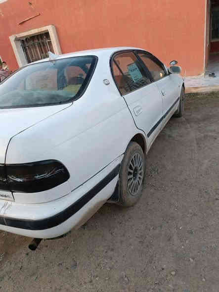 السلام عليكم ورحمة الله وبركاته
للبيع سيارة نوع كرونا فرخ بطة سيارة جاهزة محرك گير صدر طخم تاير كلو شرط سيارة ترايك محافظات كهربائيات كلها شغالة حت السنتر سيارة جاهزة شقل وامش للشقل رقم فحص صلاح شرط الوكالة السعر٣٥ وبيها مجال والمراوس حسب القناعة للاستفسار الاتصال
زين *********** وبيه واتساب
اسيا ***********
