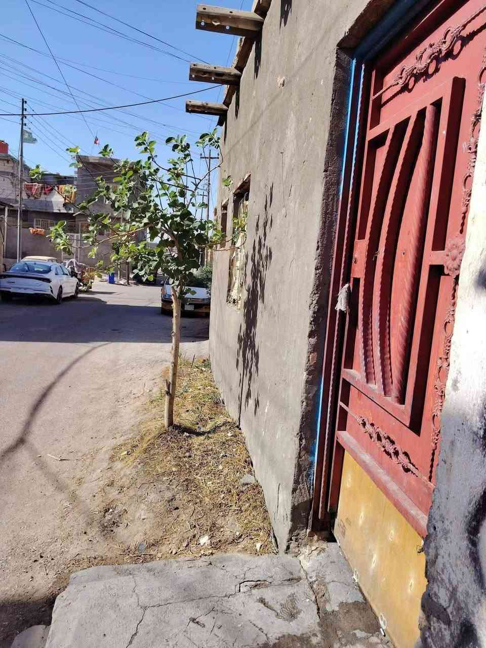 بيت للبيع او مراوس كرمه علي شارع ام البنين المساحه ١٥٠البيت ع شارع  سكف جينكو ومرتب بي سقف ثانوي ديوانيه وغرفتين وهول ومطبخ وصحيات البيت زراعي
حته لوعله دفعتين عادي

السعر ٤٥ وبي مجال


**إذا كنت صاحب هذا الإعلان وتريد حذفه لأي سبب، رجاءا أرسل رسالة إلى الدعم الفني**