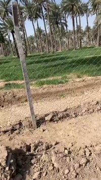 خان بني سعد • ٧٫٥ دوانم • طابو ٢٥