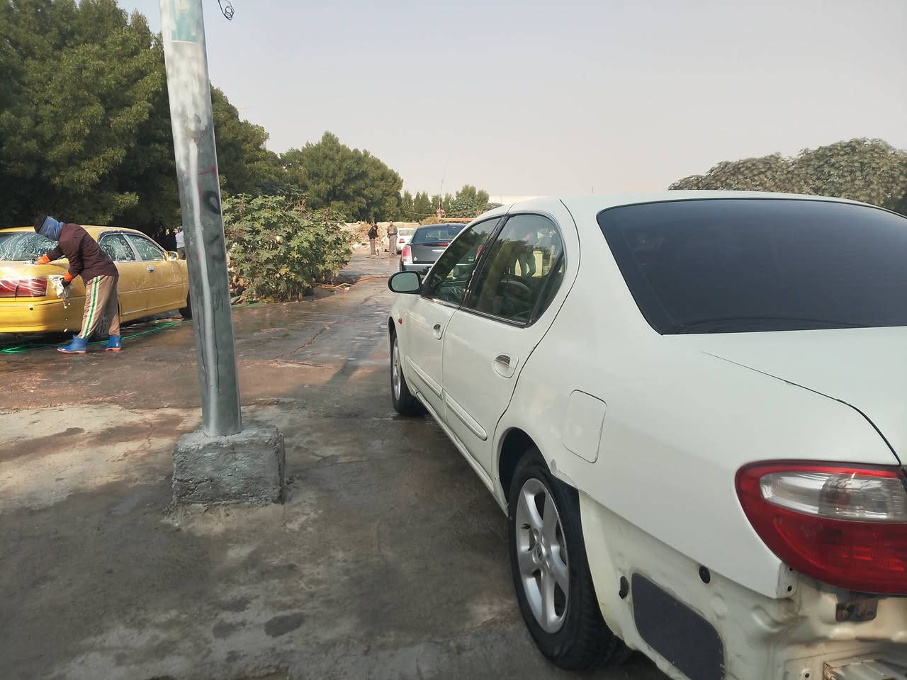 السلام عليكم
نيسان مكزما ٢٠٠٤ 
صبغ حزام بدون حادث 
كير محرك كهربائيات شرط 
حداديه بيه نقوصات 
زوج دبلات خلفيه تعبانه 
طوبات زوج 
شمعات 
فقط هاي النواقص الب بالحداديه 
تبريد منظومه جديده شادها بس ما شحنت غاز 
لان الجو بارد 
رقم بغداد الماني تحويل ثاني يوم 
السعر ٦٨ وبيه مجال 
وعليها غرامه ١٠٠ تنزل من السعر 
العنوان بغداد اليوسفيه 
***********
للمعلومات الدعاميه الخلفيه شديتها
