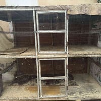 قفص • كبيسه