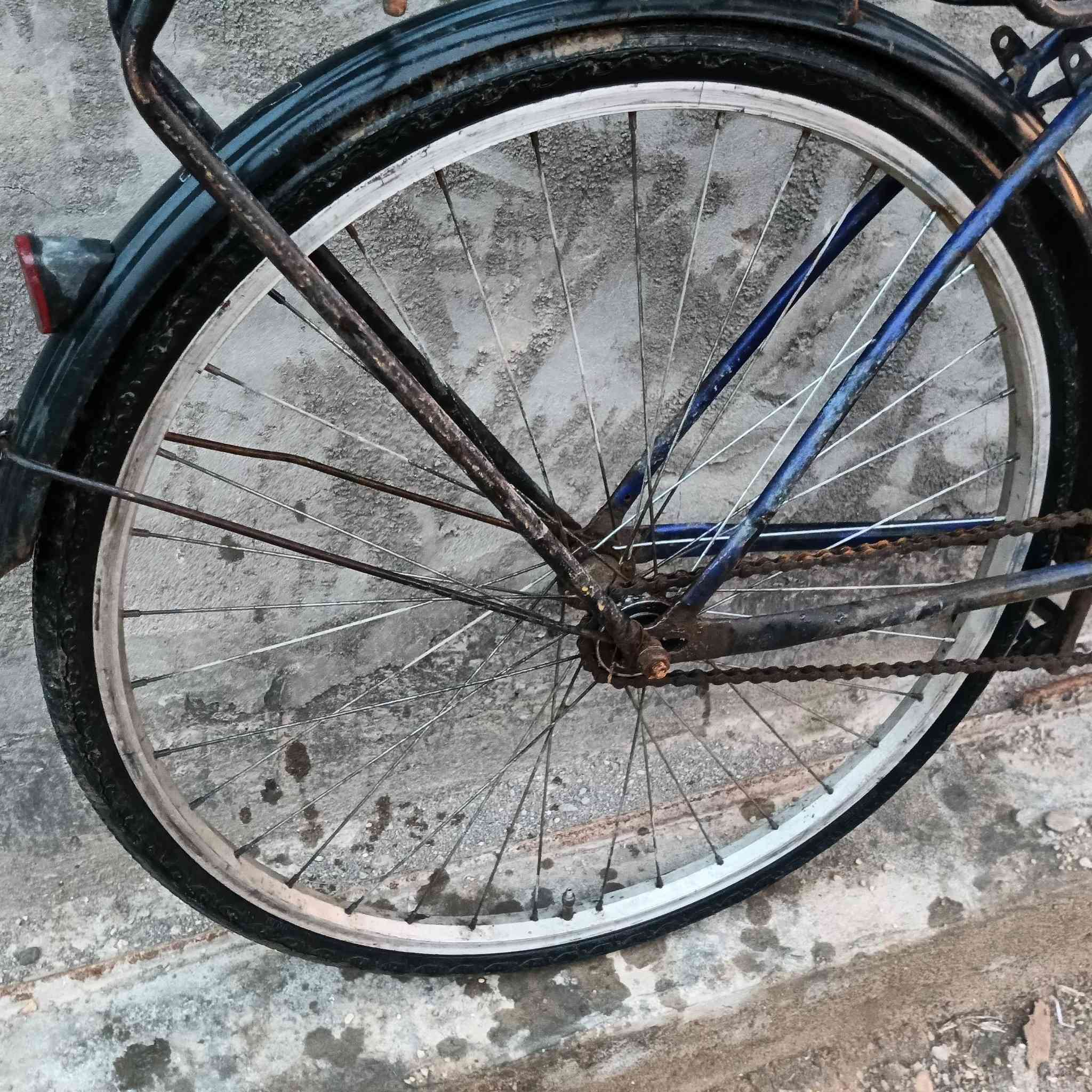 باسكل موزه للبيع وياله وبكره وجوابه جدد سعر 45 بي مجال موو شراي لا يعلق


**إذا كنت صاحب هذا الإعلان وتريد حذفه لأي سبب، رجاءا أرسل رسالة إلى الدعم الفني**