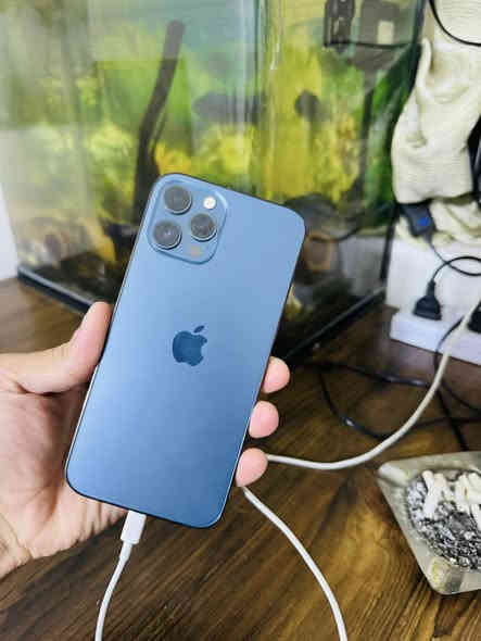 السلام عليكم اجهزه للبيع 

ايفون 12 برو ماكس 256 تخطي بدون سيمكارت ومبدل شاشه سعره 250 الف 

ايفون 12 عادي تخطي وبصمه وجه واكفه ذاكره 128 سعره 175 الف 

ايفون اكس عادي مفطور الكلاس و الضهر مكفول مامبدل شي كله شغال سعره 110 

ايفون اكس ار محور 16 عادي مكفول كله شغال ضهر مفطر سعره 135 الف 

لاستفسار واتساب *********** 

او تلغرام https://t.me/Zh_66i
