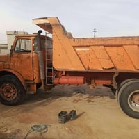 كلابه للبيع 07819117856