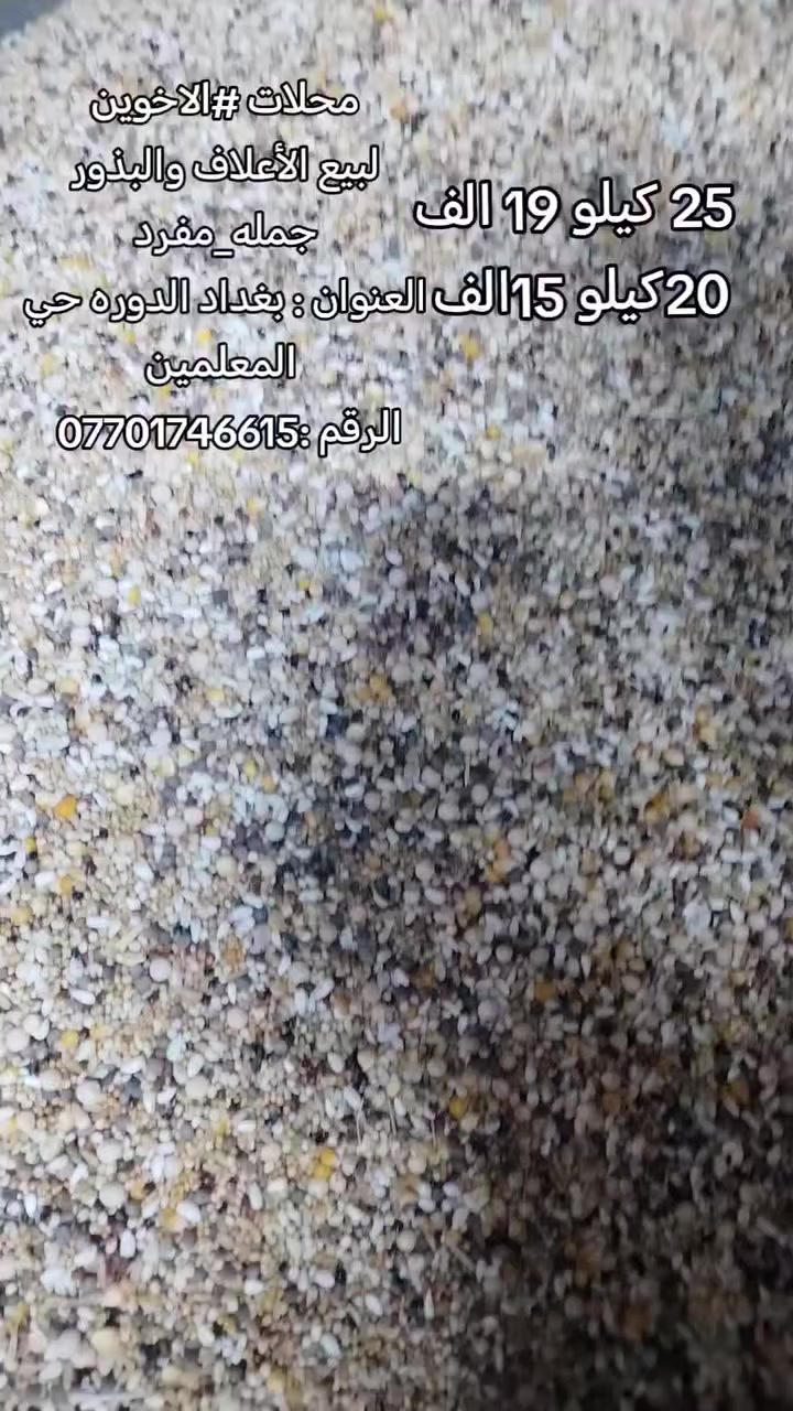 محلات #الاخوين
لبيع الأعلاف والبذور
جمله_مفرد
العنوان بغداد الدوره حي المعلمين
مجاور البيت الألماني
الرقم ***********
