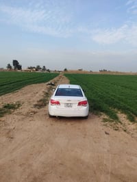 شوفر كروز • ٢٠١٠ • خليجي