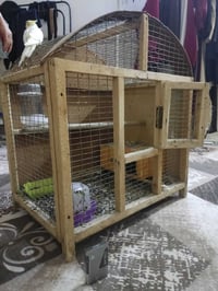 قفص طيور • ديكور منزلي