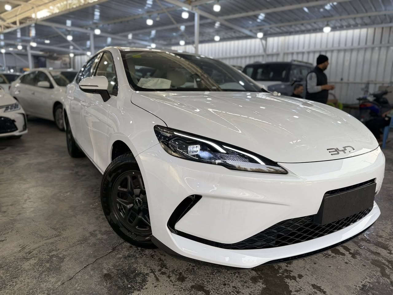 تهديكم شركة شهم النخبه اطيب تحياتها ونود اعلامكم عن توفير 
BYD SEAL -DMi 0.5

انتبه السياره : هايبرد & بانزين & كهرباء🔥

السعر غير شامل اللوحات  المروريه ☑️
بسعر خاص وحصري  18,250,000دع

اليكم التافصيل 

المواصفات 
♠️خليجي 
♦️زيرو
♣️موديل 2025
♠️حساسات خلفية
♠️بصمه تشغيل
♦️تشغيل عن بعد
♣️حجم المحرك 1,5L
♦️شاشه اصليه 
♠️كامره خلفية
♦️هند بريك كهرباء
♣️اوتو هولد
♦️مفتاح التشغيل بصمه
♠️تحكمات مقود
♦️مقول جلد حياكه 
♣️دخول ذكي
♦️اشاير بل مري
♠️المقاعد جلد رياضي
♦️ اناره داخليه LED
♣️ لد امامي LED
♦️بك لايت LED
♠️قطعتين تبريد
♦️كروس سرعة
♣️حجم الاطار 16
♦️مانع تزحلق

نتعامل❗️( بيع - شراء - مراوس -تسليم فوري )

عنوان الشركة📍.. بغداد - الكريعات شارع المعارض .

للاستفسار يرجى الاتصال على الارقام الاتية ☎️:

☎️ قسم المبيعات 
  ***********
***********
