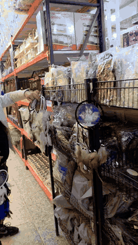 #مجمع العروض... للتصال والاستفسار   ارقام المجمعات   07834006007.المنز...